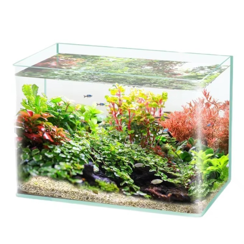 Box Fish In Aquarium - Box Verpakking Desktop Aquarium Ultra Wit