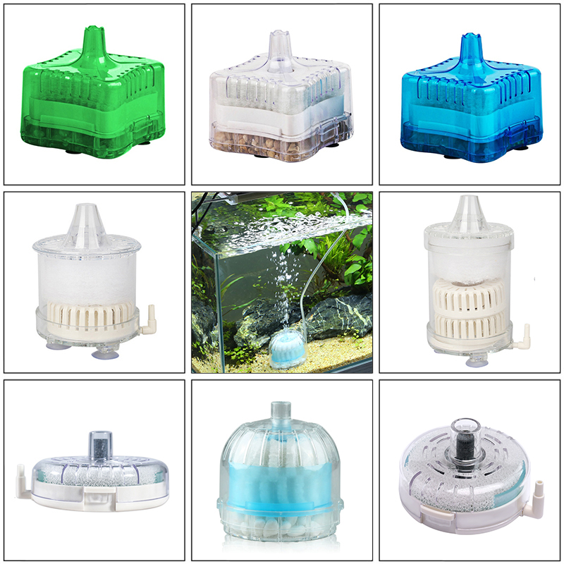Box Fish In Aquarium - Mini Aquarium Spong Filter Lucht Zuurstof
