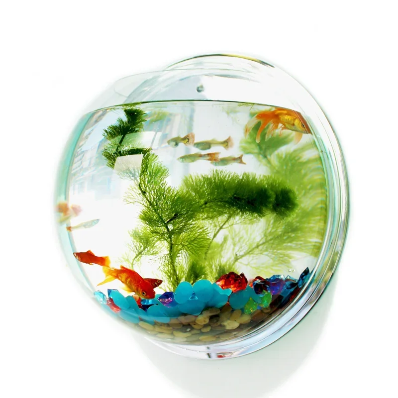 Aquarium Fish Jar - Pinsjar Acryl Viskom Muuropknoping Aquarium Tank