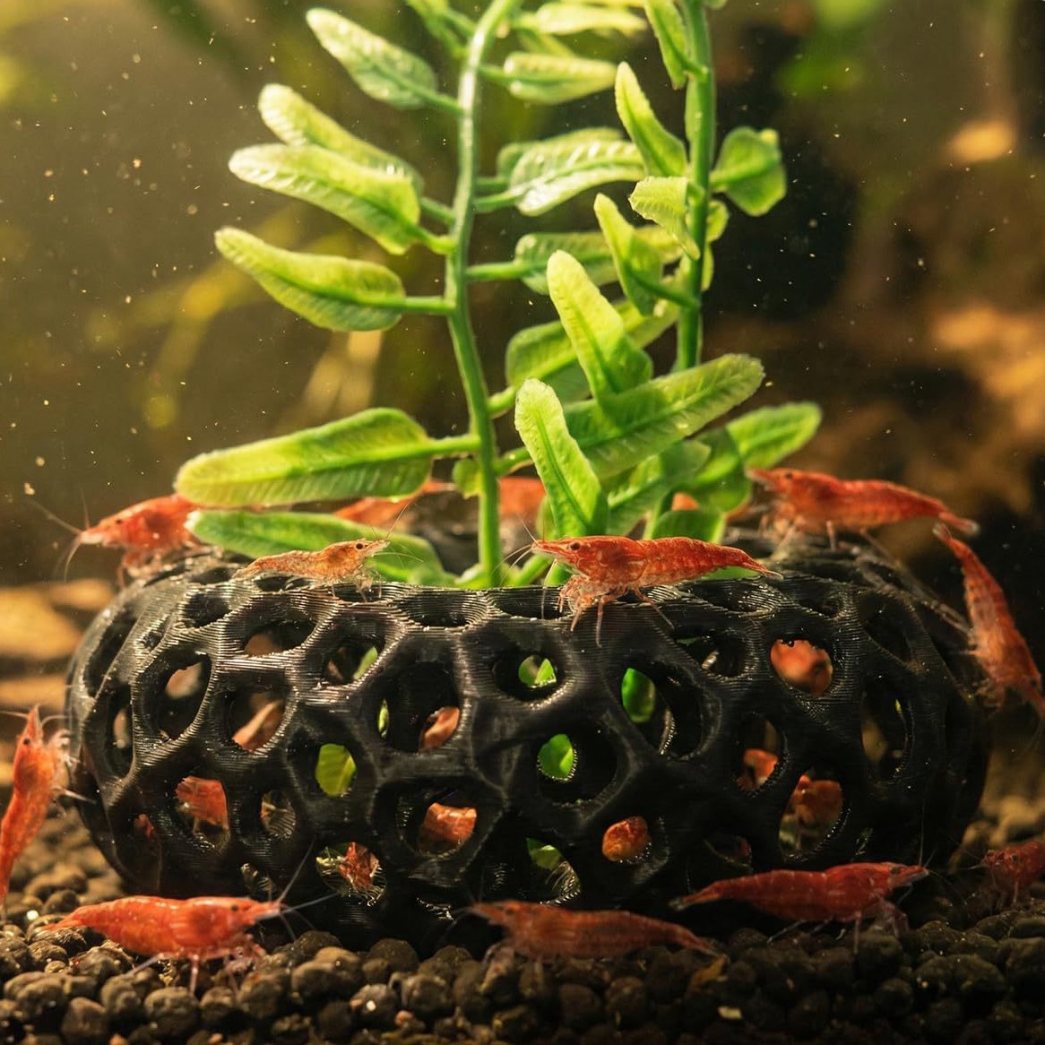 Aquarium Fish Reproduction - Hotselling 3D-geprinte ontsnappingshuisje voor aquariumvissen en