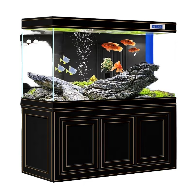 Aquarium Fish Dragon - Visaquarium Woonkamer Thuis Superhelder Glas Middelgroot