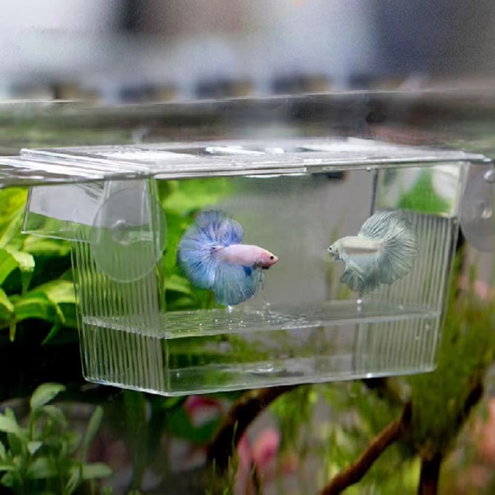 Aquarium Fish Reproduction - Creatieve Acryl Aquarium Fokken Incubator Aquarium