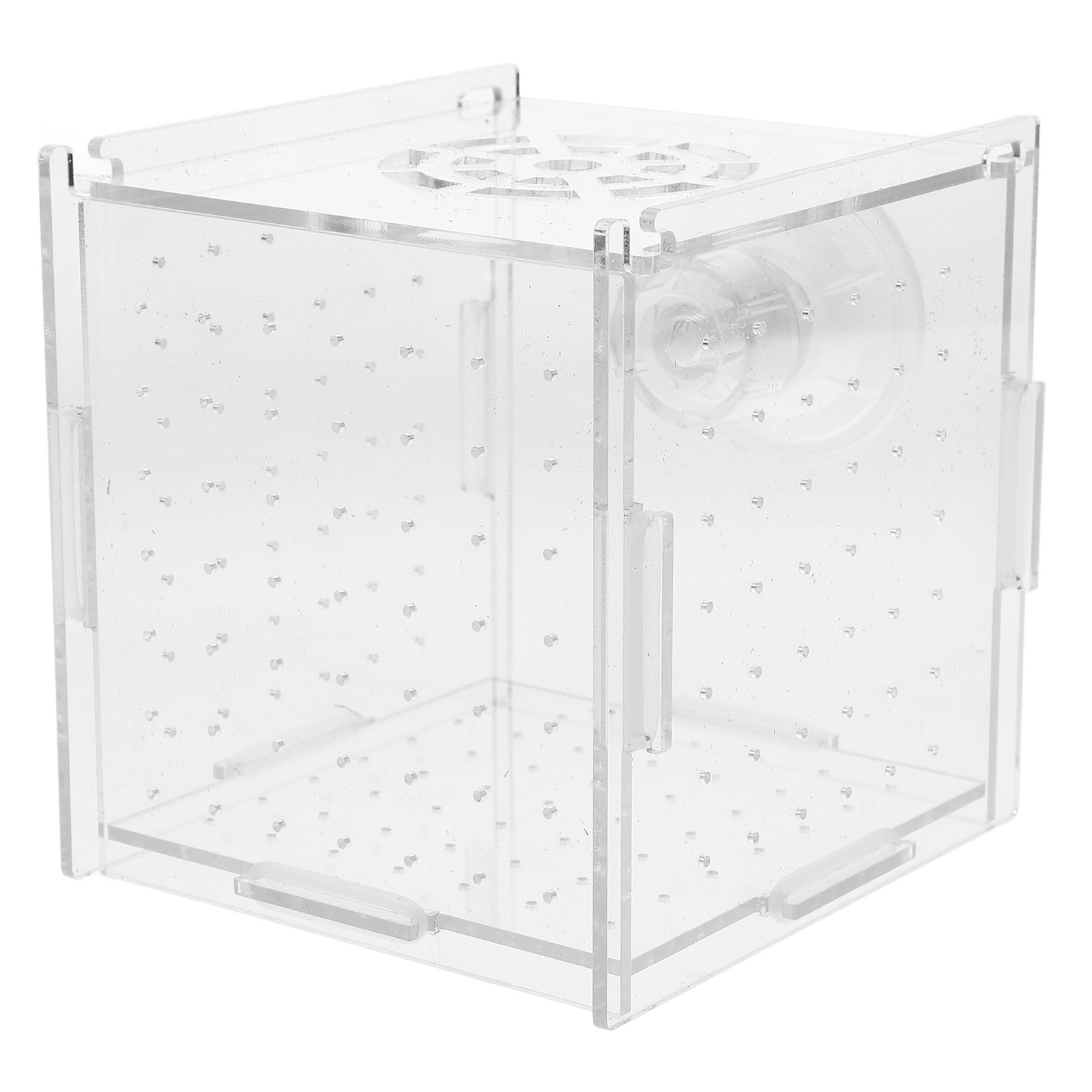 Fish Toy In Aquarium - Viskweek-isolatiebox van helder acryl, aquariumbroedstoof voor