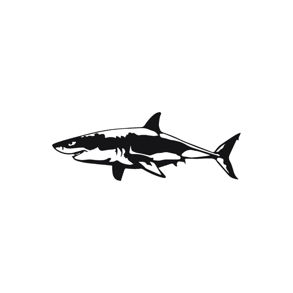 Jpct interessante grote witte  - Aquarium Fish Shark recensie en prijs