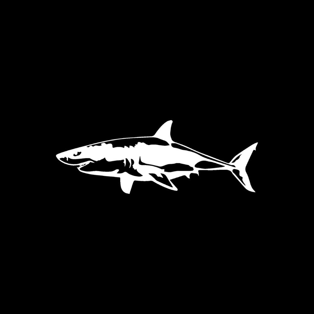 Jpct interessante grote witte  - Aquarium Fish Shark recensie en prijs