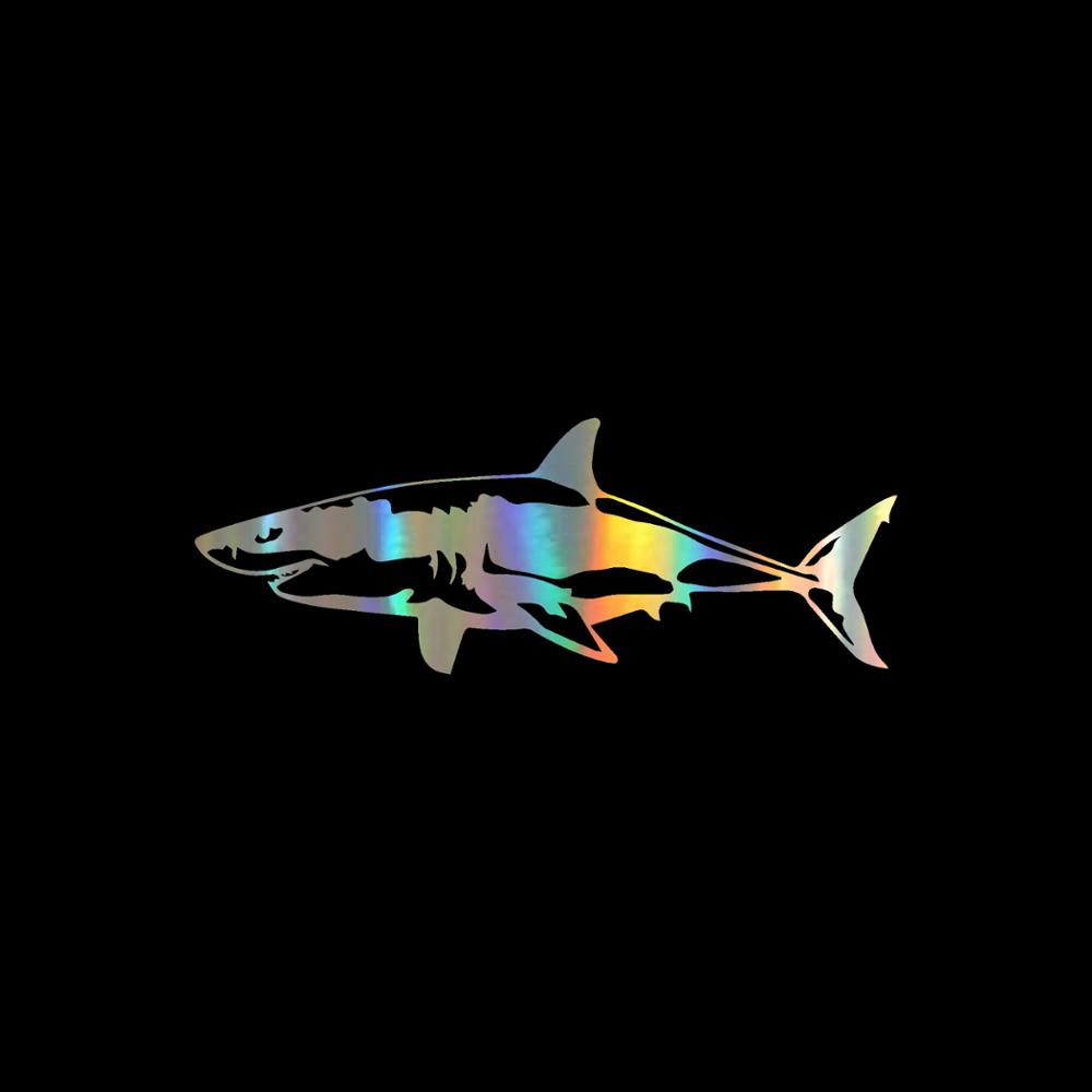 Jpct interessante grote witte  - Aquarium Fish Shark recensie en prijs