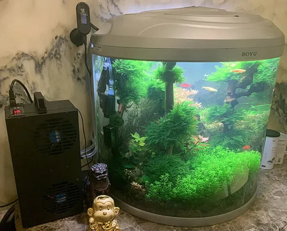 Constante Temperatuur Verstelb - Aquarium Fish Small recensie en prijs