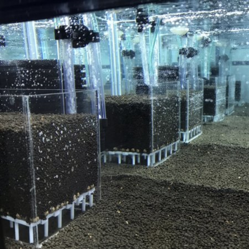 Transparant acryl garnalenviss - Aquarium Fish Reproduction recensie en prijs