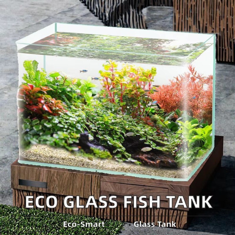 Box Verpakking Desktop Aquariu - Box Fish In Aquarium recensie en prijs