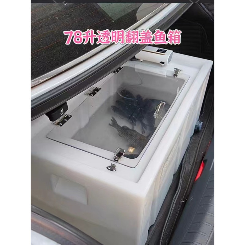In de auto te monteren levende - Aquarium Fish Small recensie en prijs