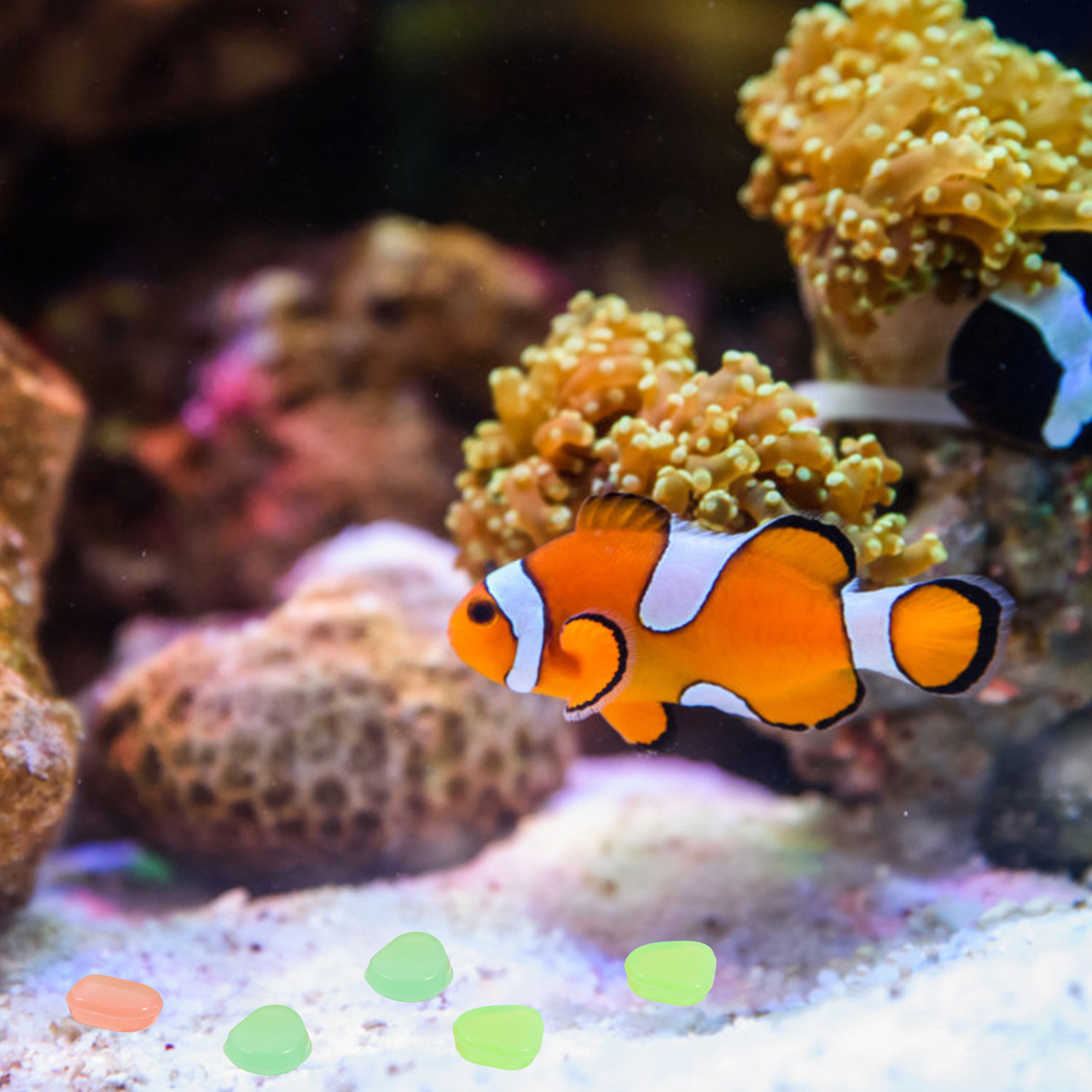 400 stuks nachtgloeiende stene - Aquarium Fish Glow In The Dark recensie en prijs