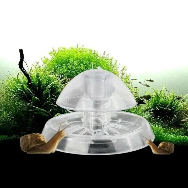 2026 Nieuwe 6/8CM Transparante - Box Fish In Aquarium recensie en prijs