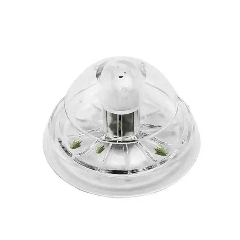 2026 Nieuwe 6/8CM Transparante - Box Fish In Aquarium recensie en prijs