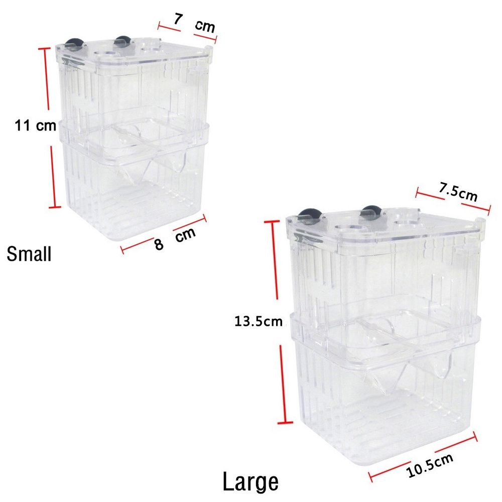 Tank Aquarium Voor Babyvissen  - Aquarium Fish Reproduction recensie en prijs