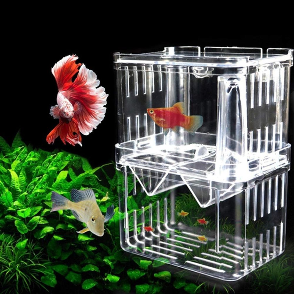Tank Aquarium Voor Babyvissen  - Aquarium Fish Reproduction recensie en prijs