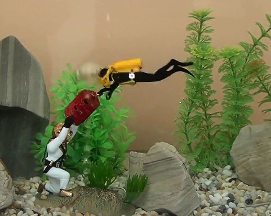 Hot Aquarium Decoratie Onderze - Aquarium Fish Gif recensie en prijs