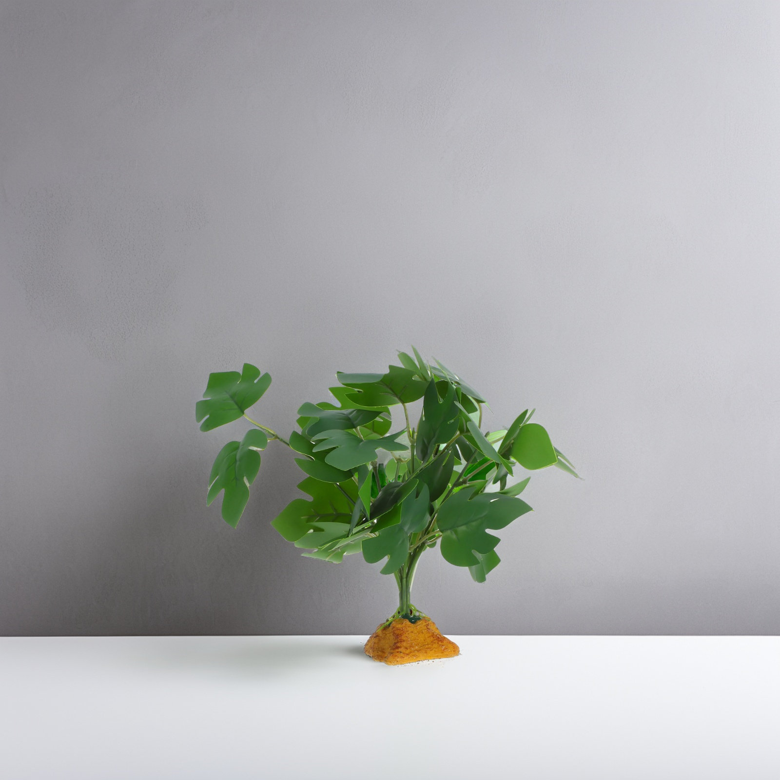 Levensechte kunstplanten, nepp - Aquarium Fish Dragon recensie en prijs