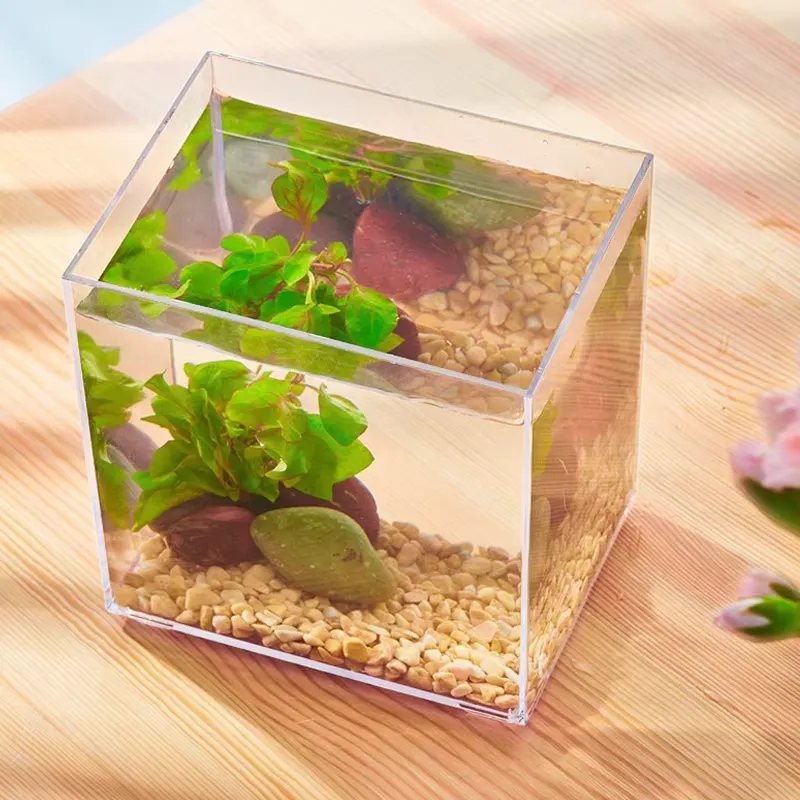 Fabrieksgroothandel Kleine Vis - Aquarium Fish Small recensie en prijs