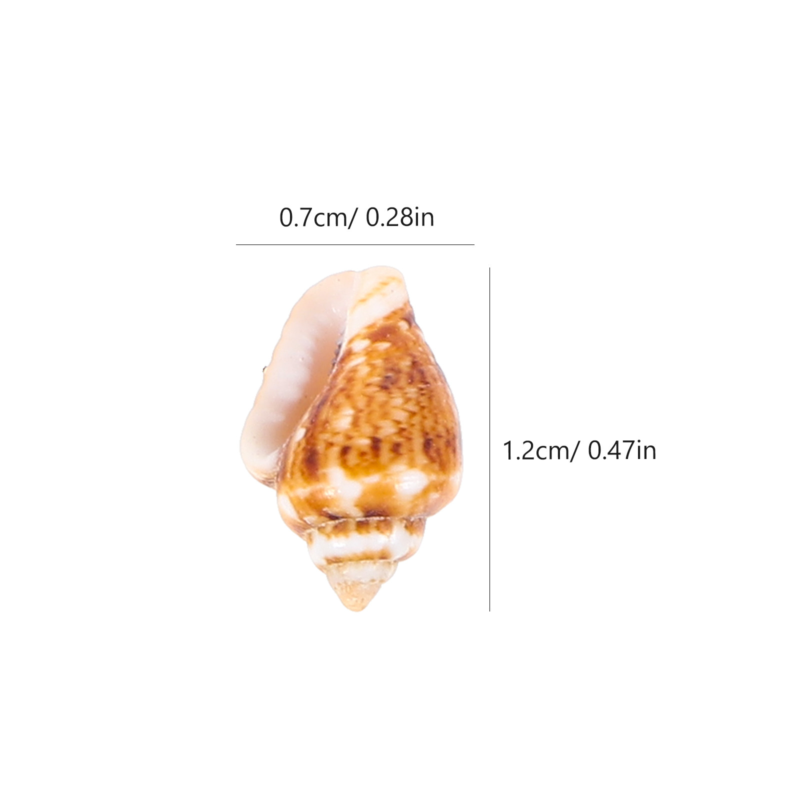 1 doosje decoratieve natuurlij - Box Fish In Aquarium recensie en prijs