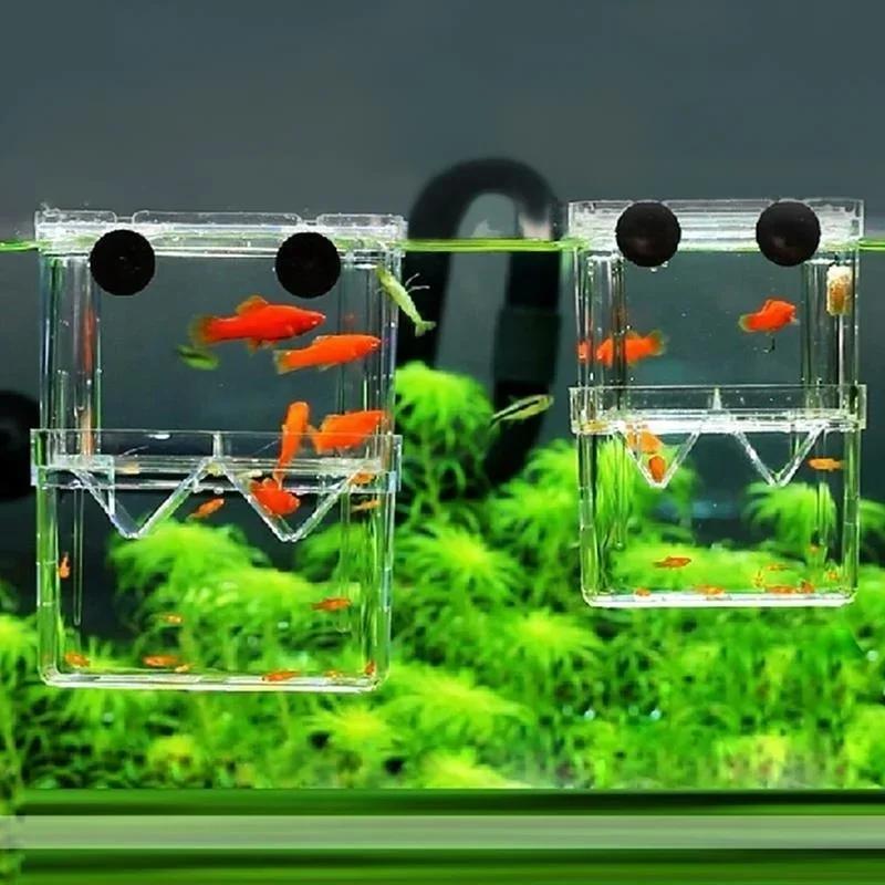Transparant Vis Aquarium Hoge  - Aquarium Fish Jar recensie en prijs