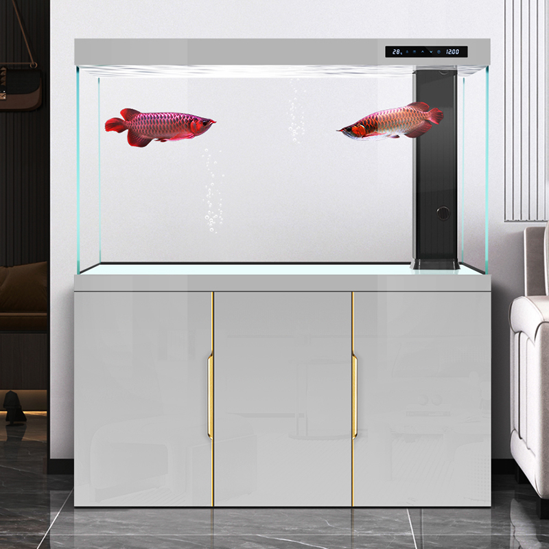 Aquarium woonkamer 2025 nieuwe - Aquarium Fish Dragon recensie en prijs