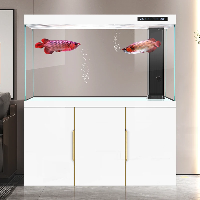 Aquarium woonkamer 2025 nieuwe - Aquarium Fish Dragon recensie en prijs