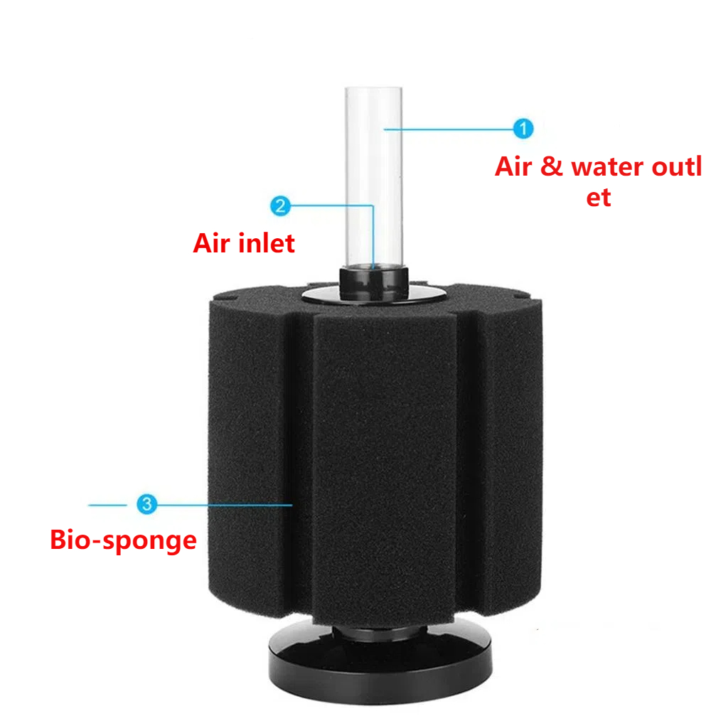 Aquariumfilterspons voor aquar - Aquarium Fish Images recensie en prijs