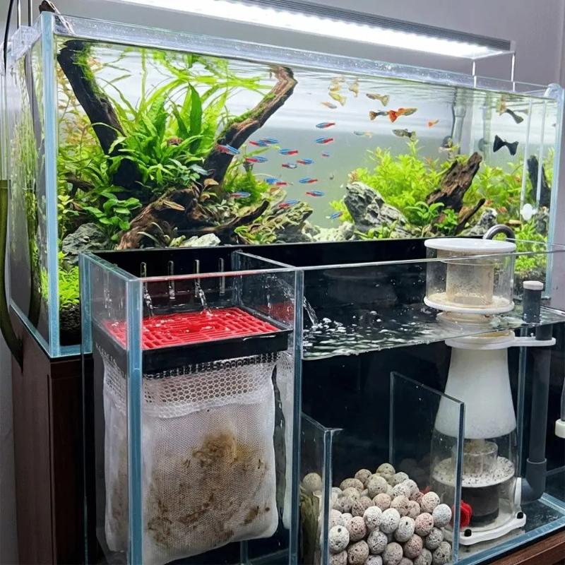 Aquariumfilterzak Efficiënte F - Box Fish In Aquarium recensie en prijs