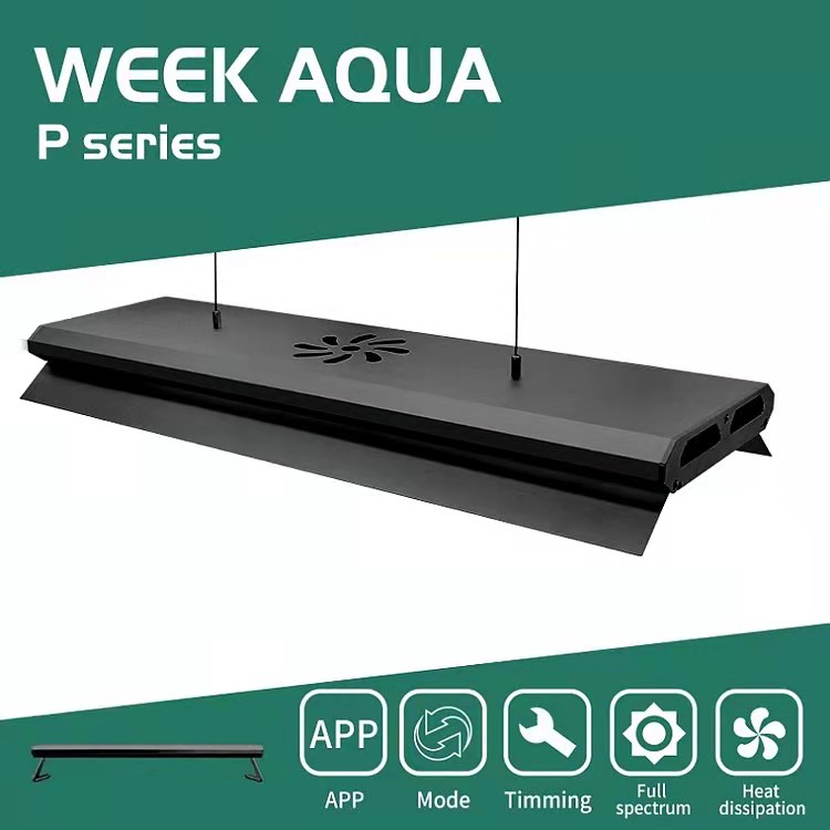 APP-gestuurde, in hoogte verst - Aquarium Fish Big Size recensie en prijs
