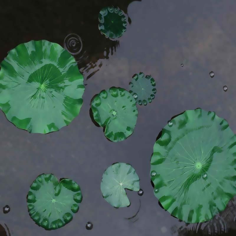 2026 Kunstmatige Waterlelie Lo - Aquarium Fish Artificial recensie en prijs