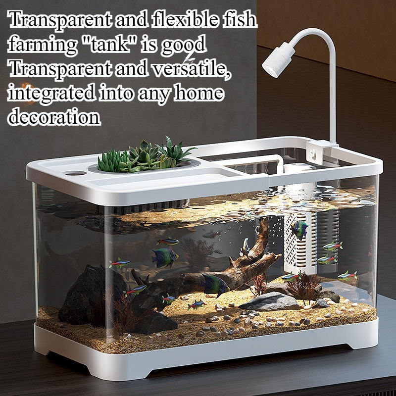 Viskom huishoudelijk aquarium  - Aquarium Fish Jar recensie en prijs