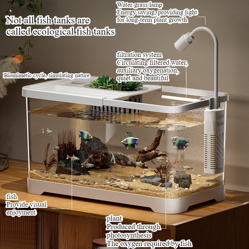 Viskom huishoudelijk aquarium  - Aquarium Fish Jar recensie en prijs