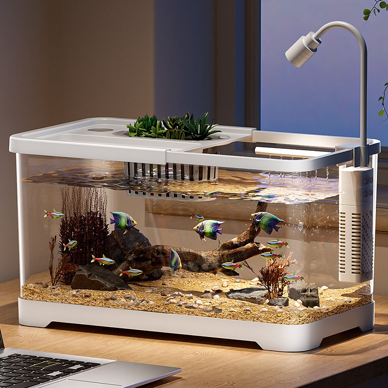 Viskom huishoudelijk aquarium  - Aquarium Fish Jar recensie en prijs