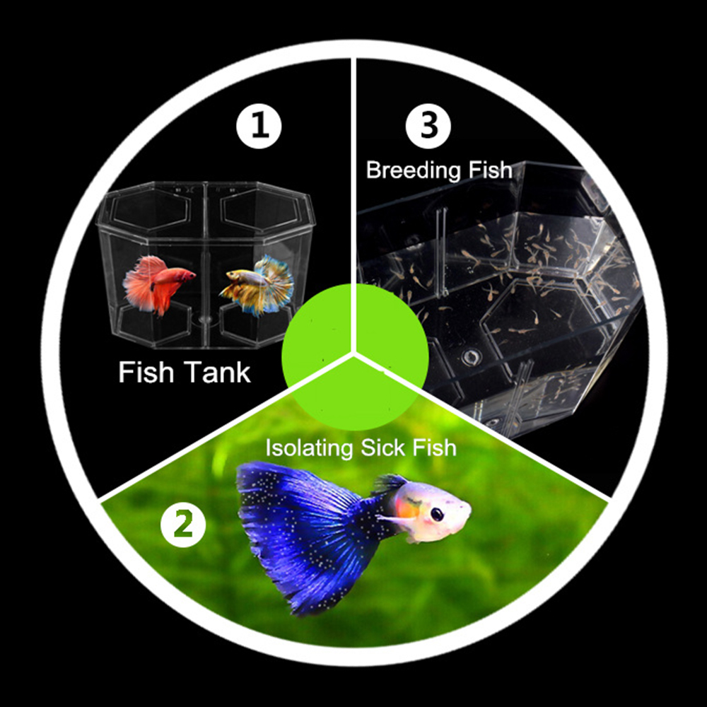 Acryl Twee Splits Guppy Aquari - Aquarium Fish Jar recensie en prijs