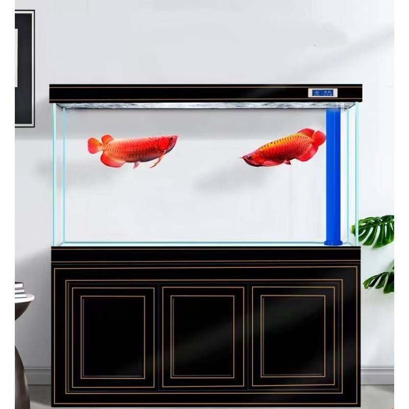 Visaquarium Woonkamer Thuis Su - Aquarium Fish Dragon recensie en prijs
