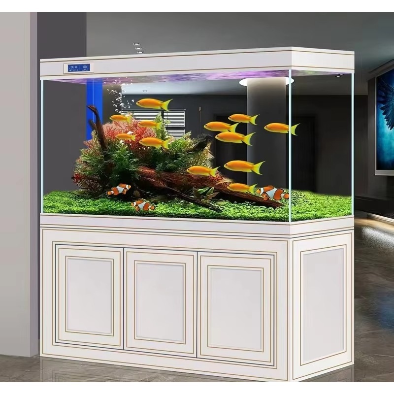 Visaquarium Woonkamer Thuis Su - Aquarium Fish Dragon recensie en prijs