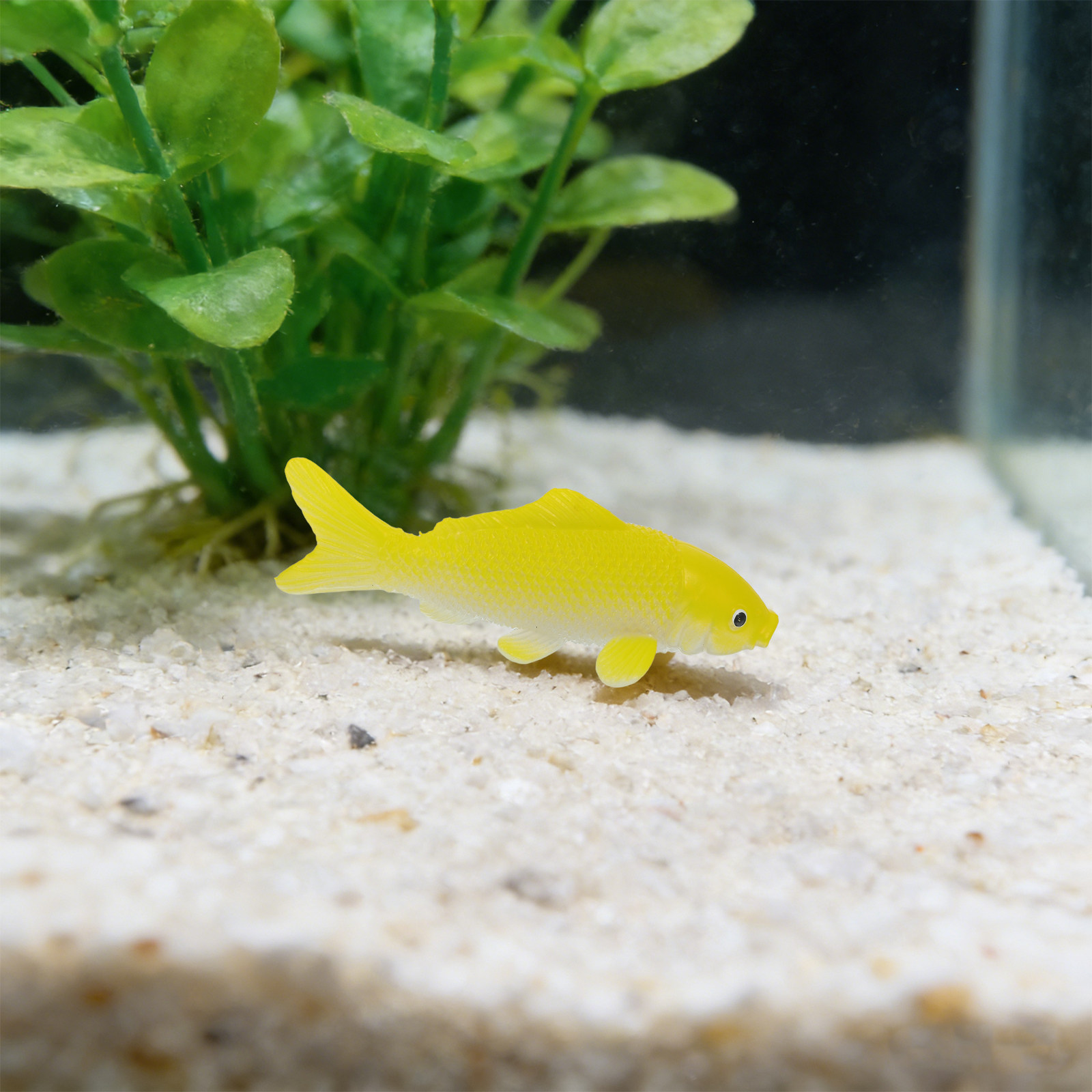 3 stuks visknutselspeelgoed re - Fish Toy In Aquarium recensie en prijs
