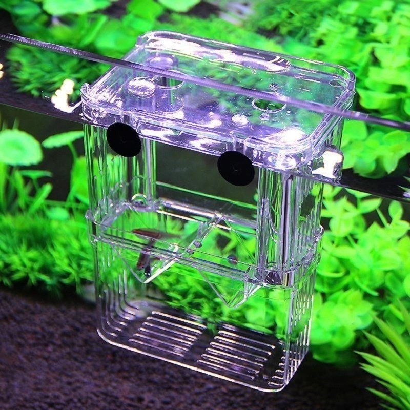 Multifunctioneel Visaquarium H - Aquarium Fish Jar recensie en prijs