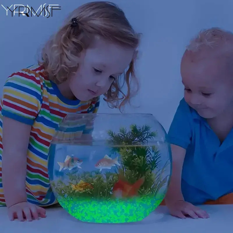 1000 stks 3-5mm Lichtgevende Z - Aquarium Fish Glow In The Dark recensie en prijs