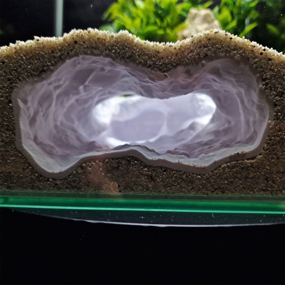 Hoogrealistisch gedetailleerd  - Aquarium Fish Reproduction recensie en prijs