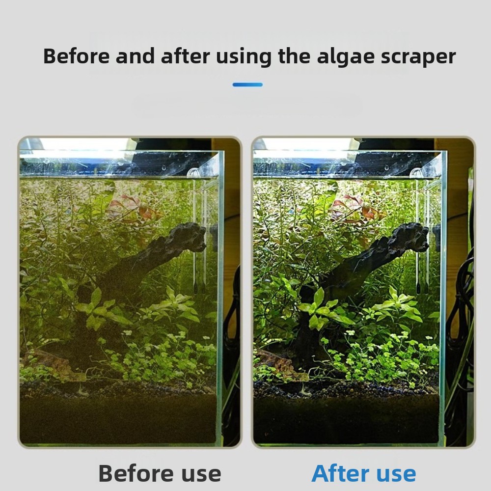 Dubbelzijdige aquariumalgenkra - Algae Scraper Blade recensie en prijs