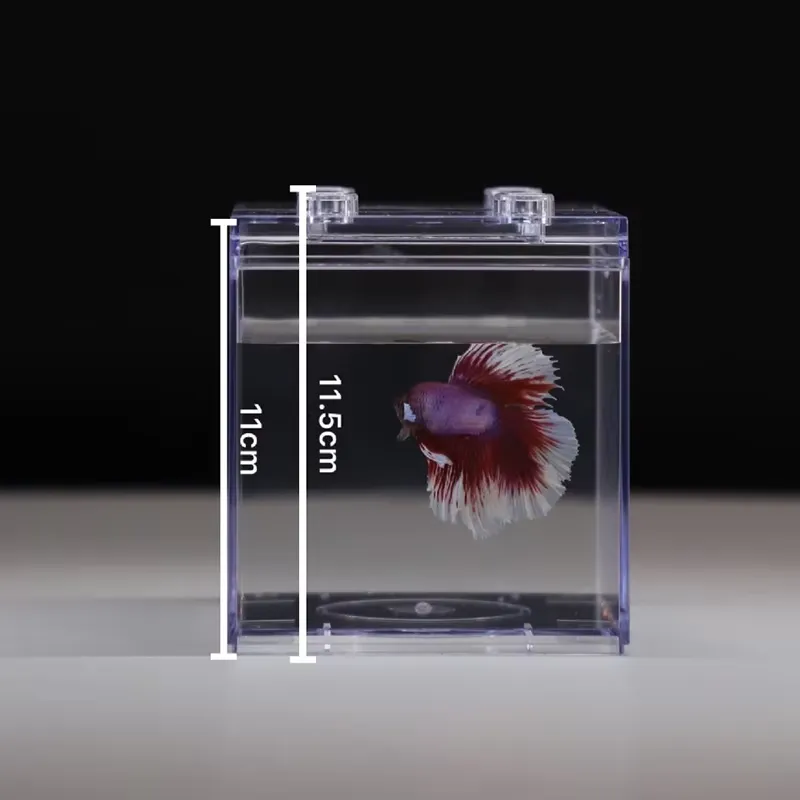 Relaxlines Mini Aquarium Box T - Box Fish In Aquarium recensie en prijs