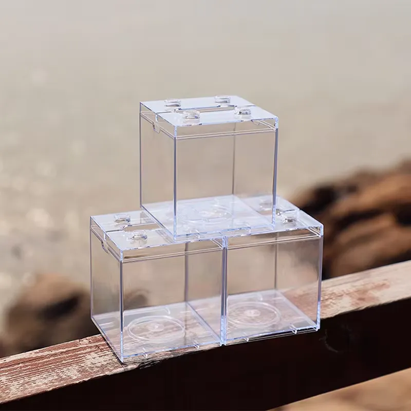 Relaxlines Mini Aquarium Box T - Box Fish In Aquarium recensie en prijs