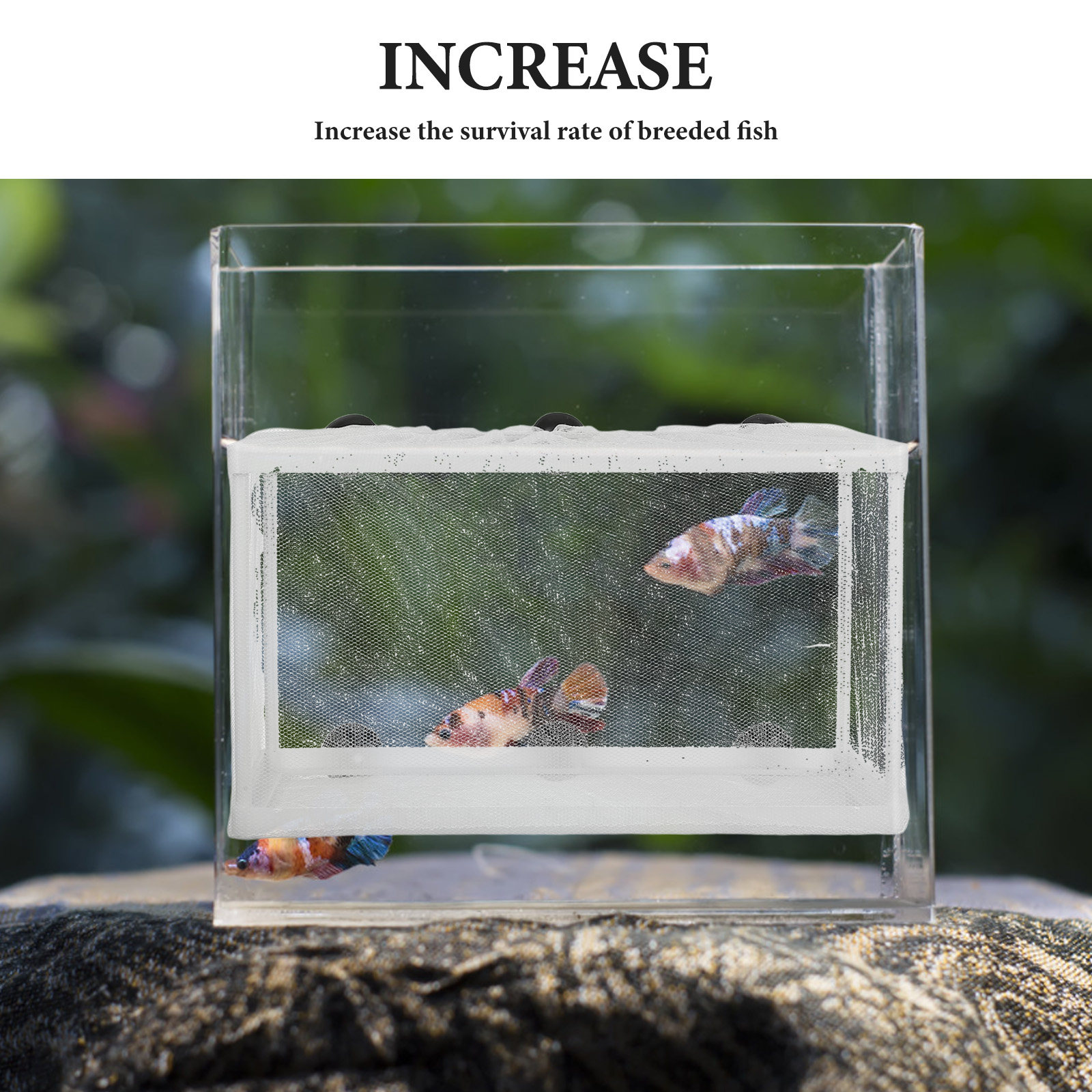Viskweeknet Grote Maat Aquariu - Aquarium Fish Big Size recensie en prijs