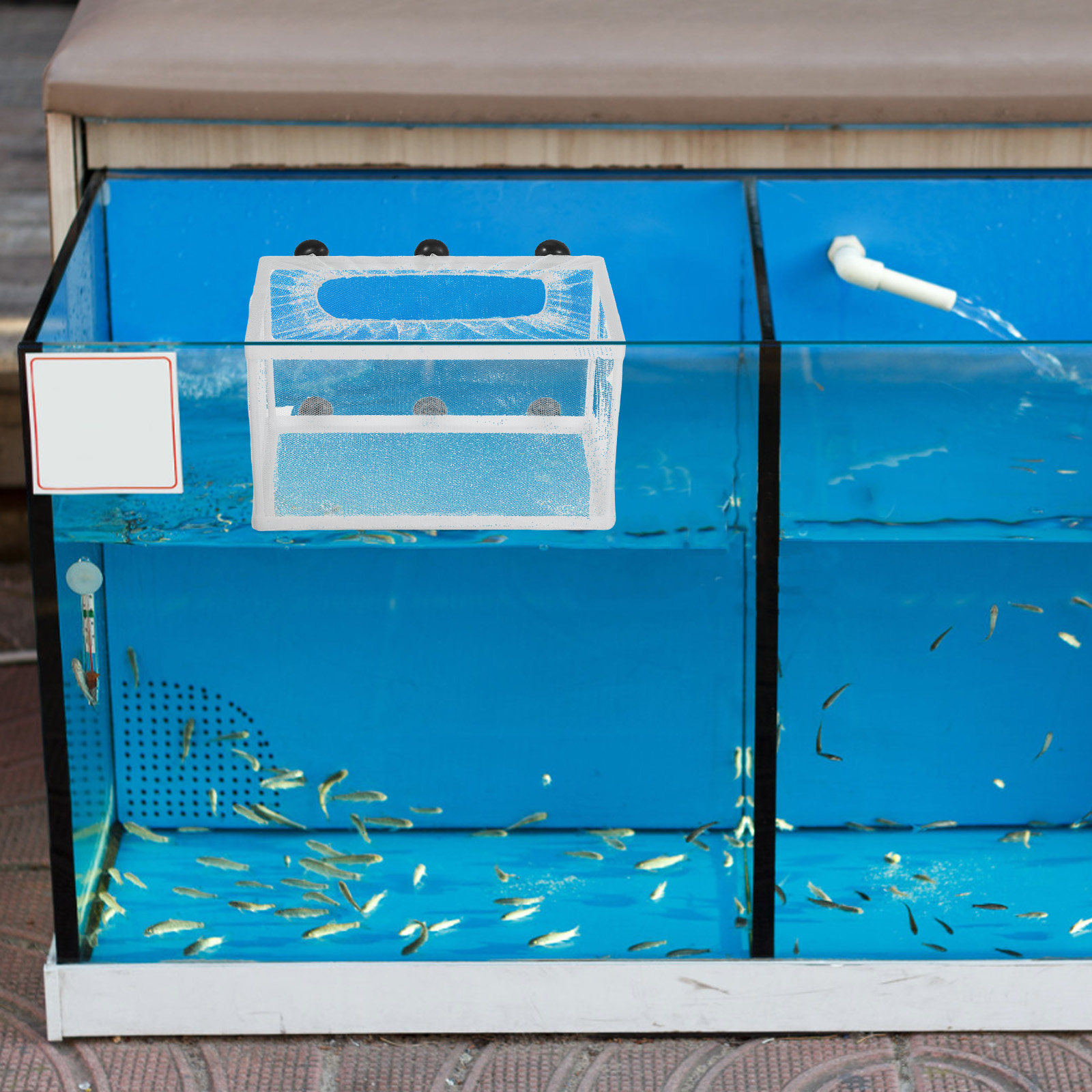 Visnet Grote Maat Kweekbak Aqu - Aquarium Fish Big Size recensie en prijs