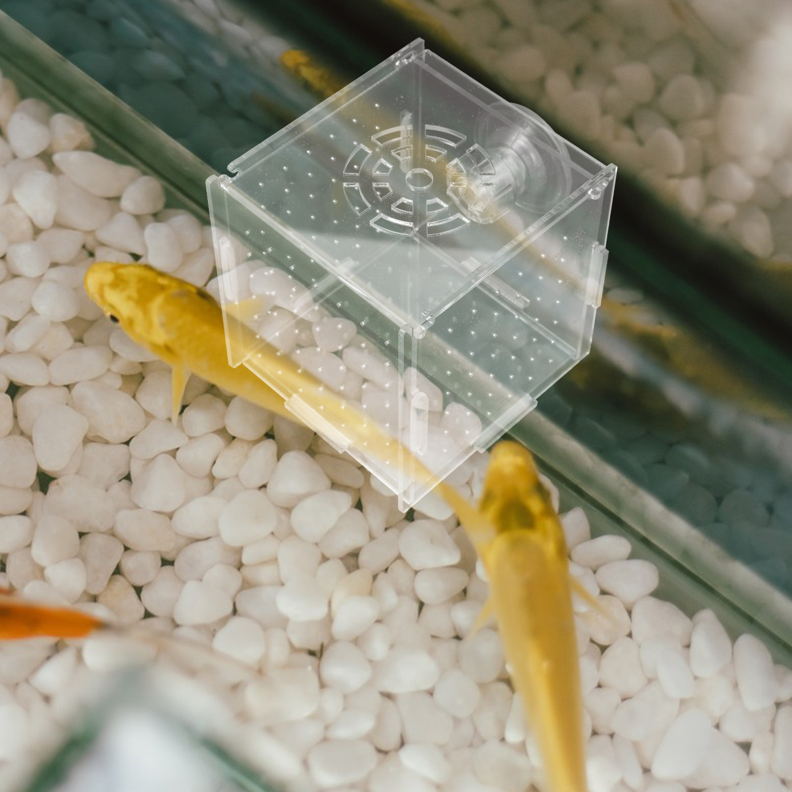Viskweek-isolatiebox van helde - Fish Toy In Aquarium recensie en prijs