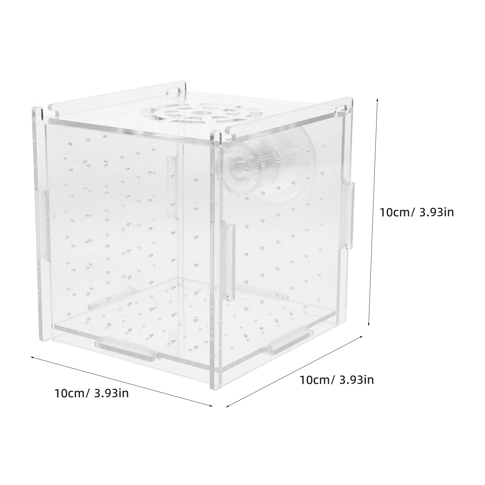 Viskweek-isolatiebox van helde - Fish Toy In Aquarium recensie en prijs