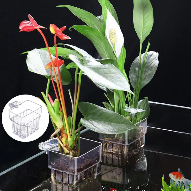 Multifunctionele Vis Aquarium  - Box Fish In Aquarium recensie en prijs