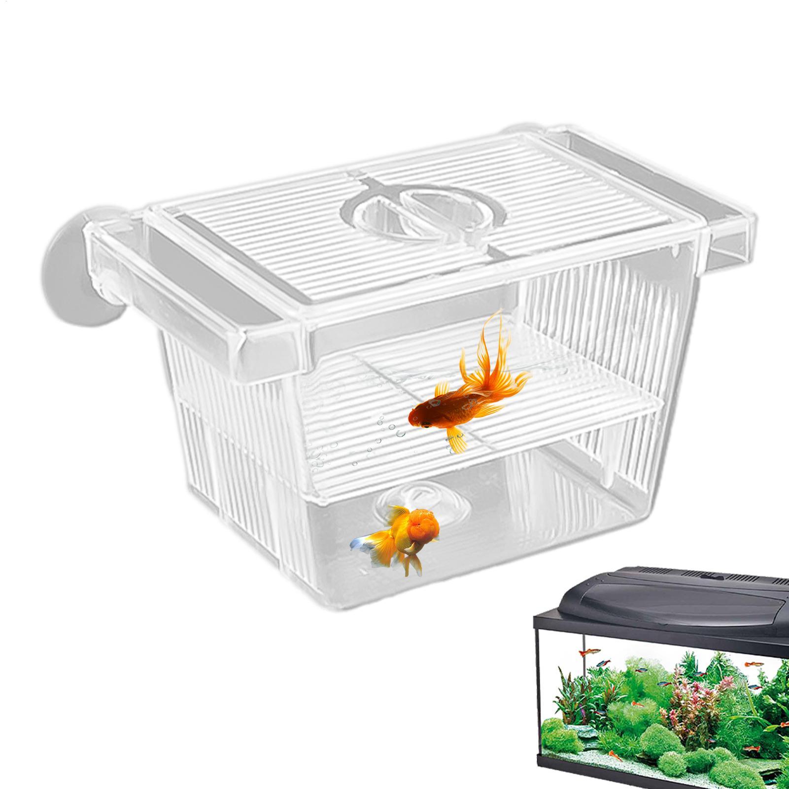 Aquariumkwekerij Acryl Isolati - Aquarium Fish Jar recensie en prijs
