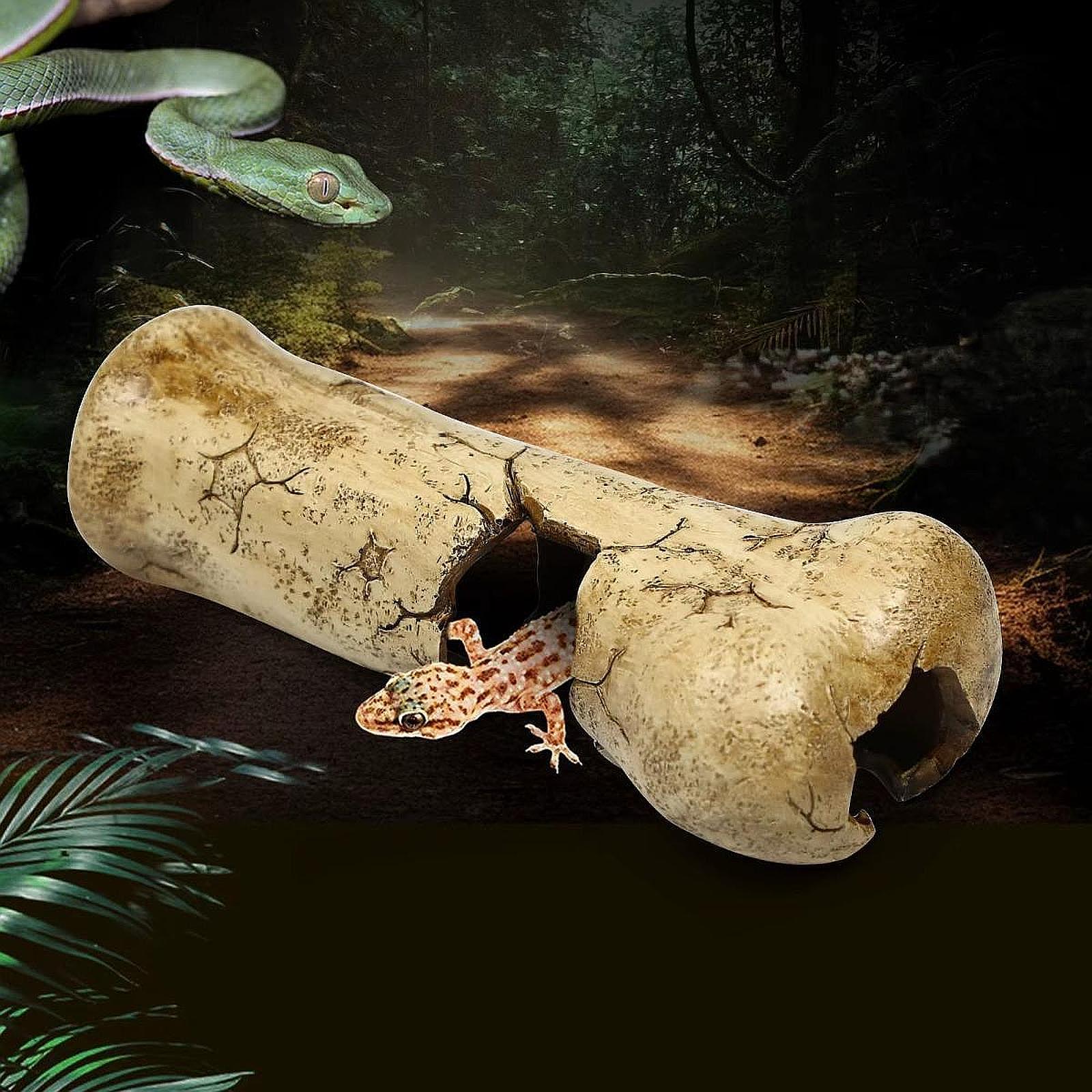 Reptielenrots Schuilplaats Gro - Aquarium Fish Dragon recensie en prijs